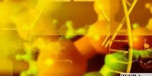 Japanese Human Furniture Porn Videos