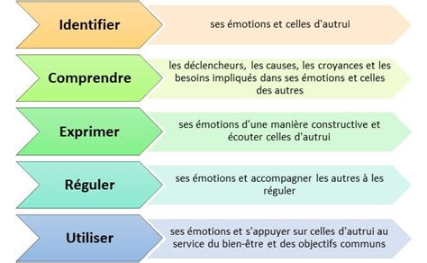 Intelligence Motionnelle Les Comp Tences Motionnelles D Velopper