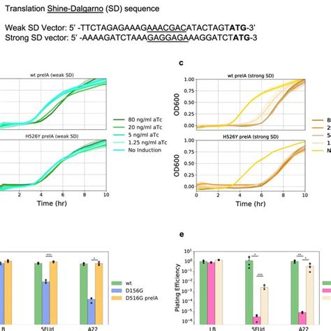 Rifampicin Resistance Desensitizes Elongating Rnap To Ppgpp A Same