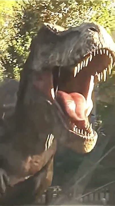 Tyrannosaurus Rex Vs Allosaurus Youtube