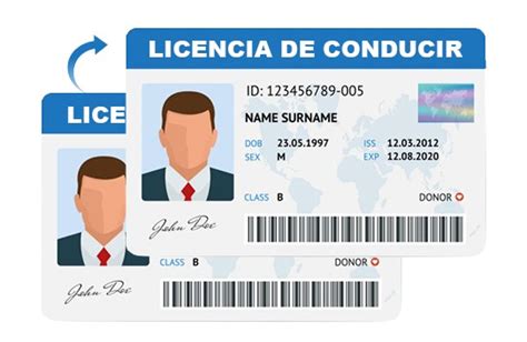 Pedir Un Duplicado Del Carnet De Conducironline