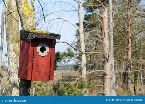 Red bird house in a tree stock image. Image of birdhouse - 144410395