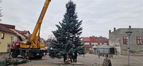 Na placu Mickiewicza stanęła wielka świąteczna choinka mamNewsa pl