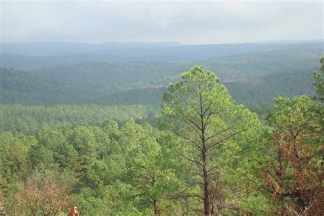 Kiamichi Mountains Surrounding Pine Knot Cabins | Broken bow cabins ...