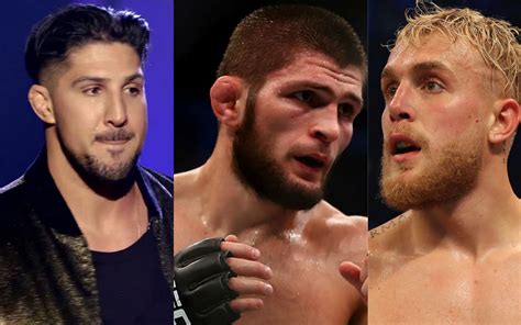 Ufc News Brendan Schaub Reacts To Khabib Nurmagomedov And Jake Paul S