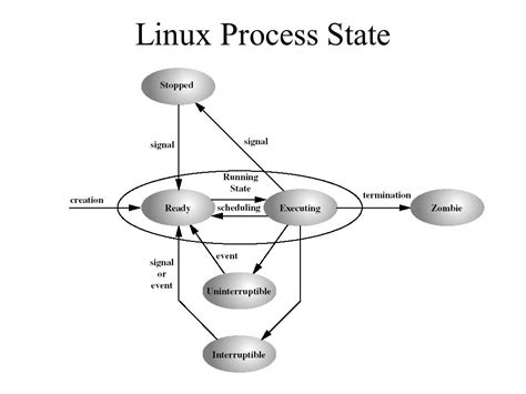 Linux Process States Diagram [resuelta] Linux