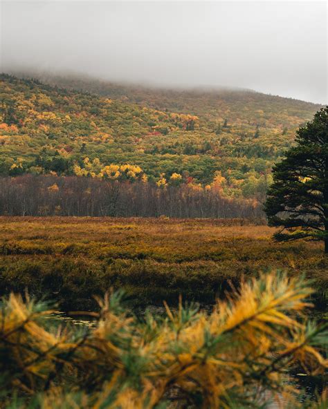 Acadia National Park in full fall colors [OC] [3217x4021] : r/EarthPorn