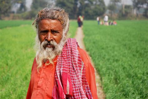 Farmer In Wheat Field Bihar India A Farmer At Work In A … Flickr