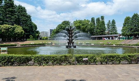 สวนเซตากายะ Setagaya Park เพลิดเพลินกับกิจกรรมต่าง ๆ และธรรมชาติอัน