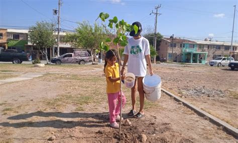 Alcalde Carlos Peña Ortiz Comprometido Con Reforestación Daisy Herrera