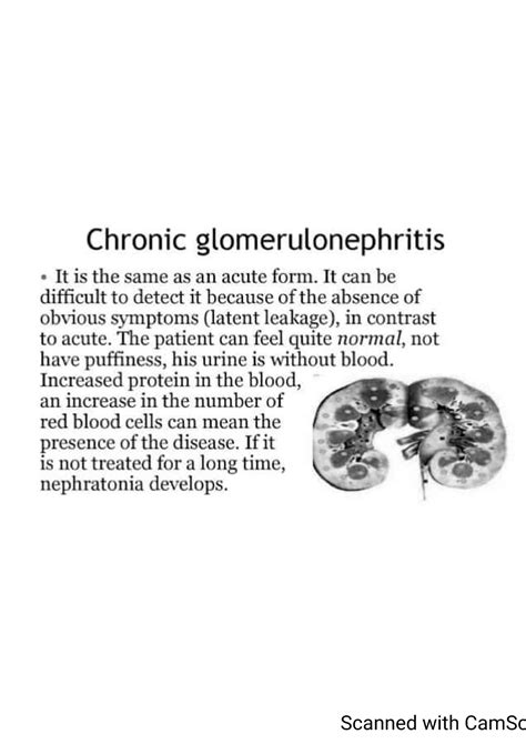 Nursing Chronic Glomerulonephritis General Notes Nurs 200 Studocu