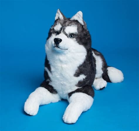 Pluch Toy Husky Realistic Plush Toys Dogs Artist Alina Biliakova Dog