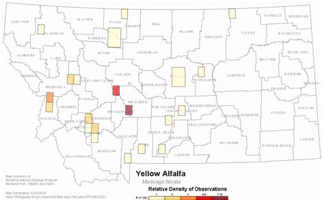 Yellow Alfalfa Montana Field Guide