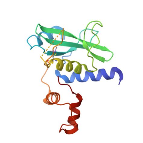 Gene O14508 Protein SOCS2 Overview CanSAR Ai