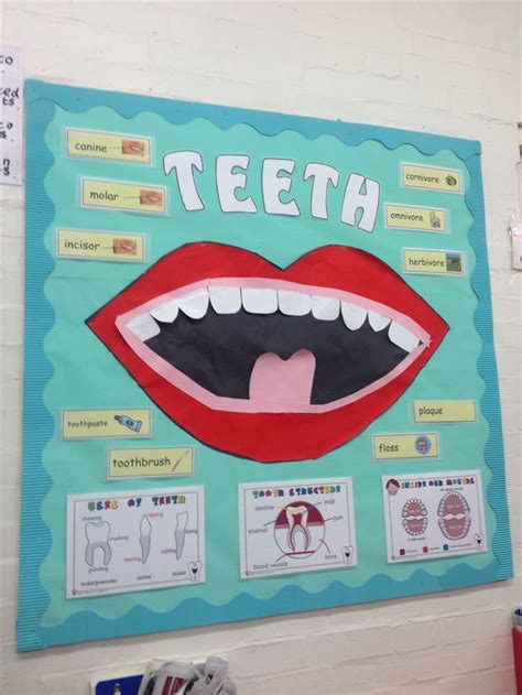 Teeth Whitening Science Experiment