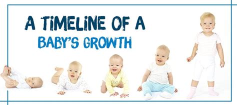 A Timeline Of A Babys Growth In Just 12 Months Your Bundle Of Joy