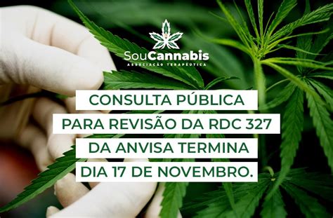 Anvisa Abre Consulta P Blica Para Revis O Da Rdc Soucannabis