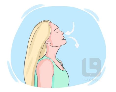 Definition & Meaning of "Breathe" | LanGeek