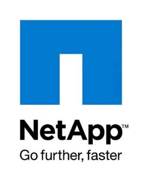 What Is Netapp