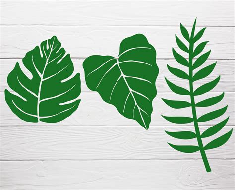 15 Tropical Leaves Bundle Svg For Cut File Leaf Svgflower Etsy Canada