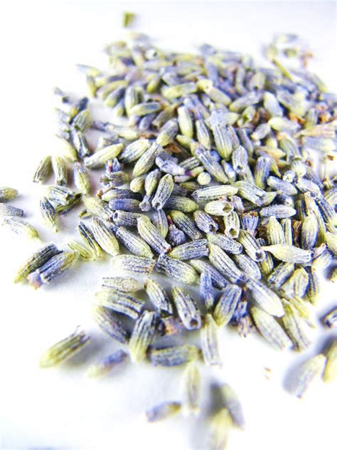 LAVENDER FLOWERS ORGANIC 1 pound bulk wholesale dry Lavender