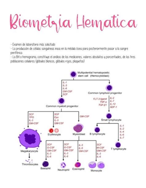 Biometr A Hem Tica Emilia Garc A Rivera Udocz