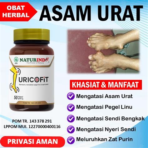 Jual Obat Asam Urat Herbal Asam Urat Ampuh Nyeri Sendi Lutut Bengkak