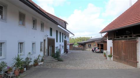 Wohnung Haus Mieten In 8312 Winterberg ZH Homegate Ch