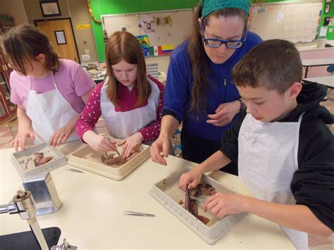 Science Club Starts Up For Petersburg Middle School Kfsk