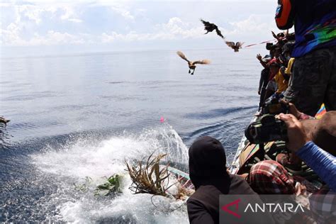 Ritual Petik Laut Di Muncar Banyuwangi Antara News