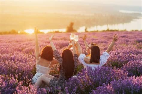 Premium Photo | Summer picnic party ideas for the friends in the lavender field