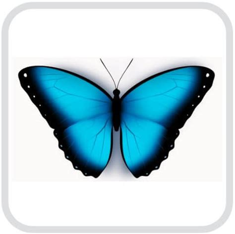 Домашняя ферма или домашний инсектарий купить в Москве