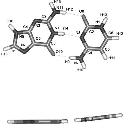 ( Color online ) Guanine-cytosine base pair and definition | Download Scientific Diagram