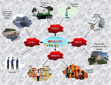 Impuestos Mapa Mental Contador Público Costos y presupuestos uDocz