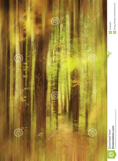 Blurred Autumn Forest Landscape Stock Image - Image of brown, fall ...