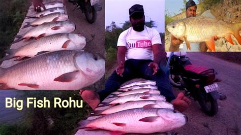 Fishing Channel Big Rohu Fish Technique Rohu Fish Hunting Youtube