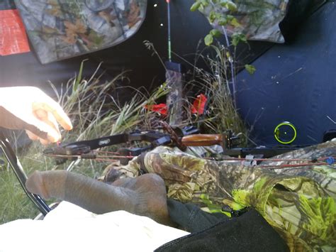 Cock And Balls Out While Deer Hunting Porn Pictures XXX Photos Sex Images 1972871 PICTOA