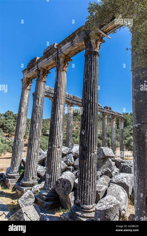 Temple Of Zeus In Euromos Ancient City Stock Photo Alamy