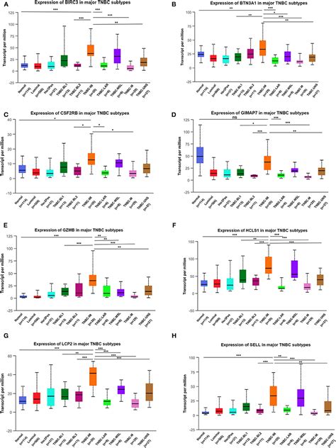 Frontiers Transcriptome Based Network Analysis Unveils Eight Immune