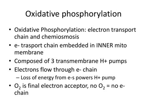 Oxidative Phosphorylation