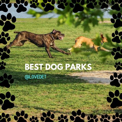 Best Dog Parks – Love Det