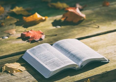 La Importancia De La Biblia En Nuestra Vida Diaria El Arte De Conocer