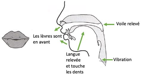 Le Son E France Podcasts