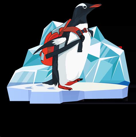 Wildlife Viewing in Antarctica: Ensuring Respectful Encounters