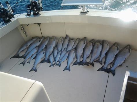 - S & S Sportfishing Charters
