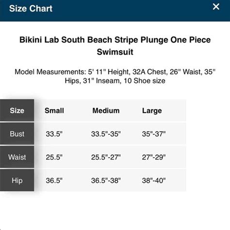 The Bikini Lab Swim Nwt The Bikini Lab South Beach Striped Bathing Suit Poshmark