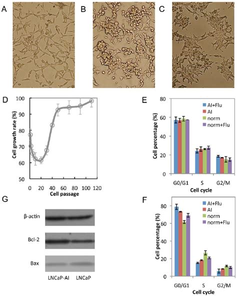 Changes In The Biological Characteristics Of Lncap Cell Line From