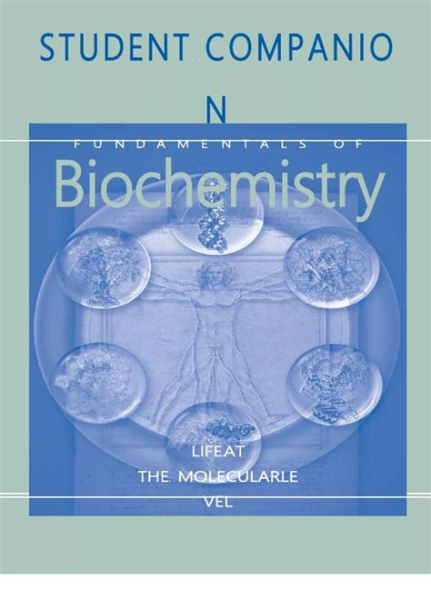 Biochemistry Voet 4th Edition Solution Manual 6