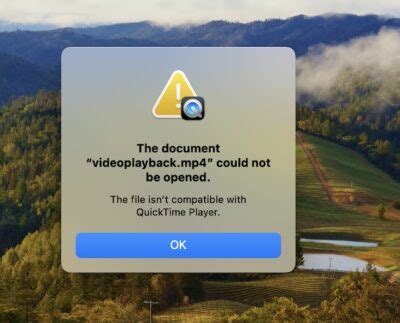 Fix This File Contains Media Which Isnt Compatible With Quicktime