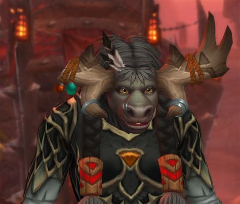 Tauren De Haut Roc Les Nouvelles Options De Personnalisation Au Patch